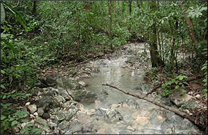 Fresh water is available along the trails of Cabo Blanco Absolute Reserve 