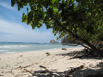 Cabo Blanco beach is the perfect place to rest after walking along the National Park jungle trails