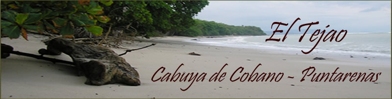 El Tejao vacation rental, banner site, Cabuya beach in high tide